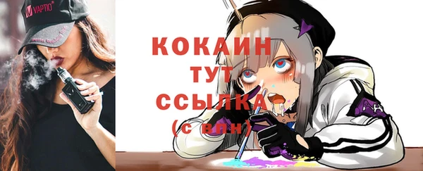 твердый Инта