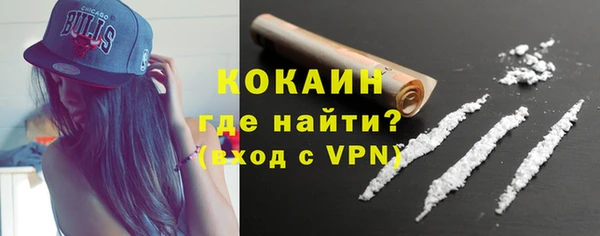 твердый Инта