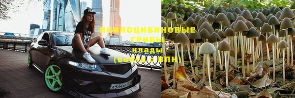 MESCALINE Иннополис