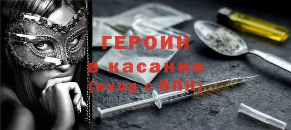 твердый Инта