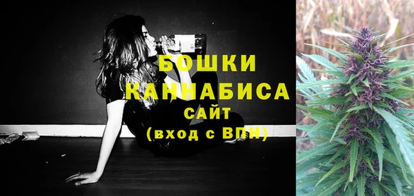 твердый Инта