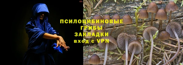 твердый Инта