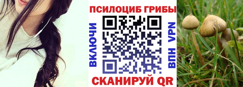 Псилоцибиновые грибы Psilocybine cubensis  Купить закладки  Бугуруслан 