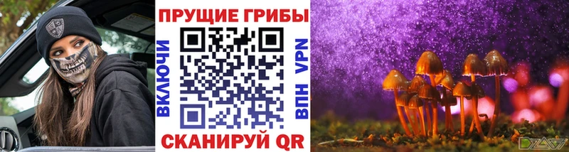 Галлюциногенные грибы MAGIC MUSHROOMS Бугуруслан